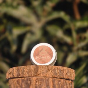 Shea Lip Balm